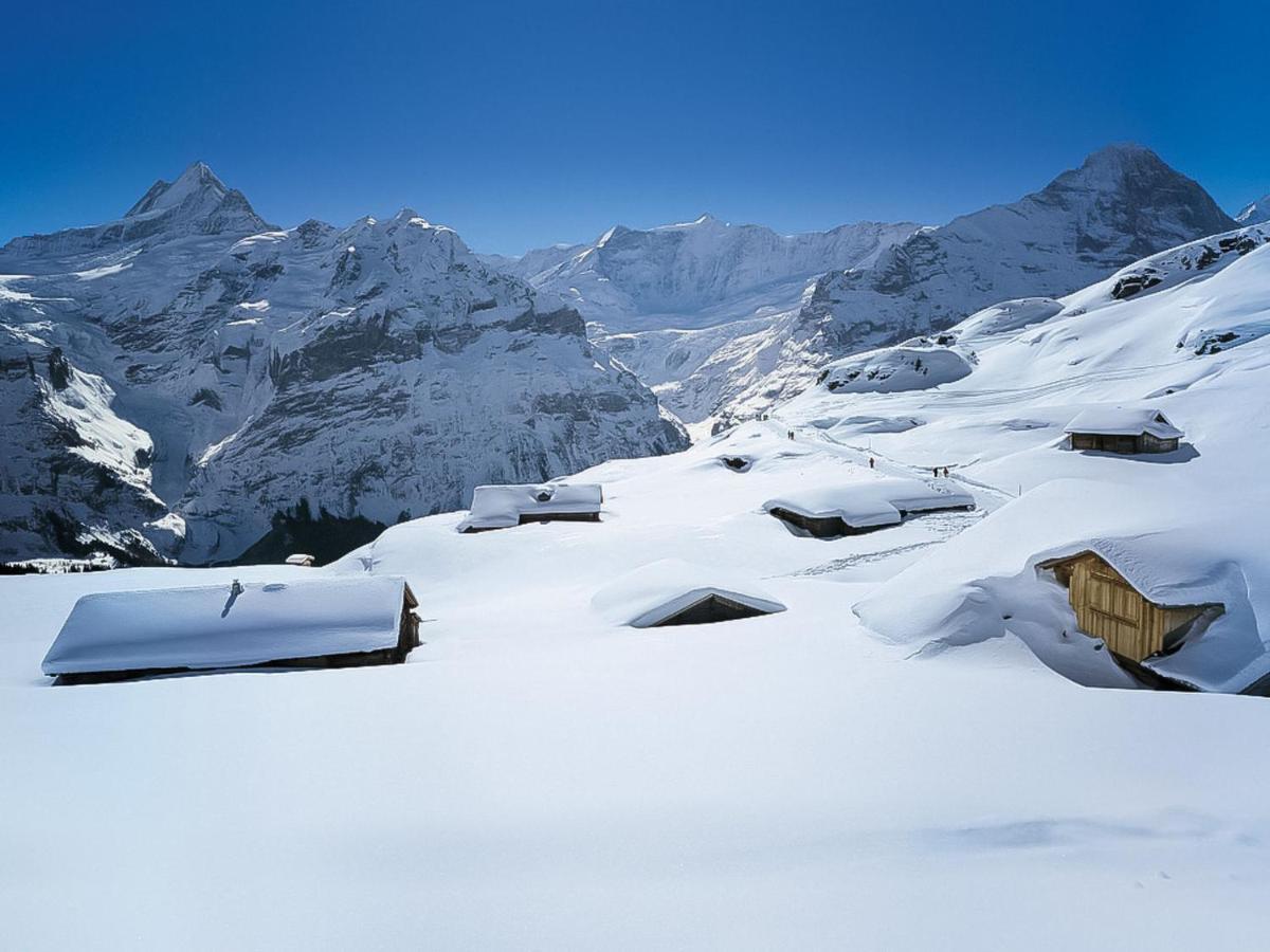 Holiday Home Chalet Reinhysi By Interhome Grindelwald Kültér fotó